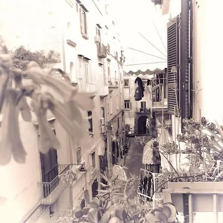 Апартаменты 4p Casa