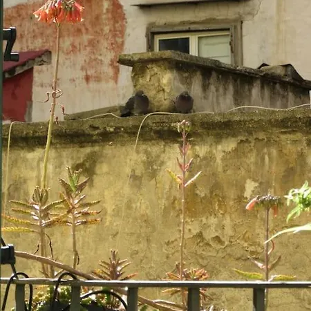 4p Casa Daire Napoli